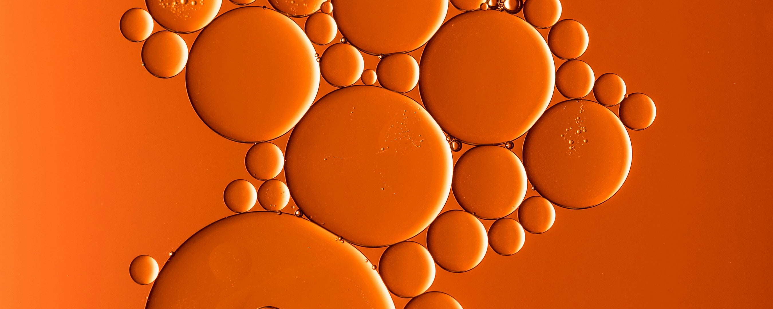 Essential oils and probiotics in Core Cleaner, a new spray for cleaning exercise mats 